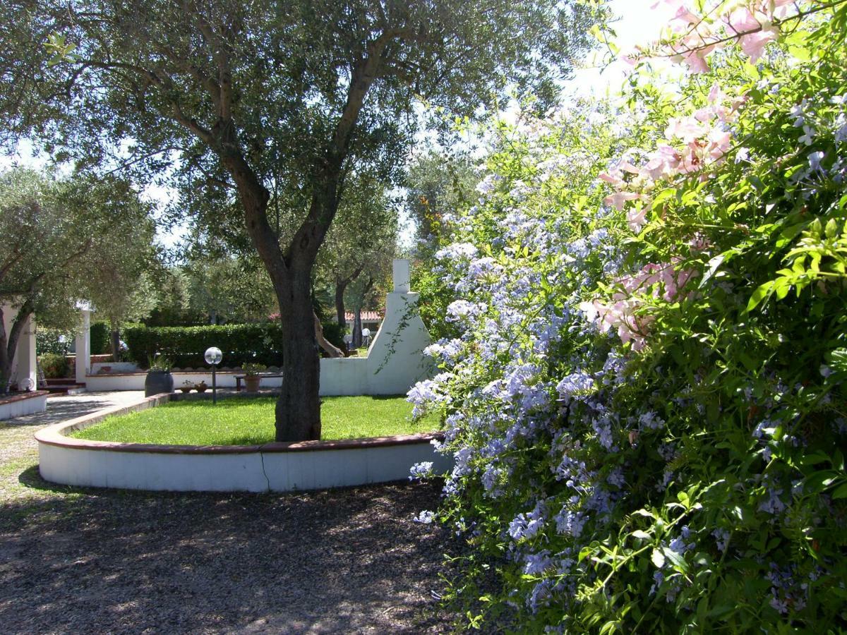 Villa Sarda Sorso Εξωτερικό φωτογραφία